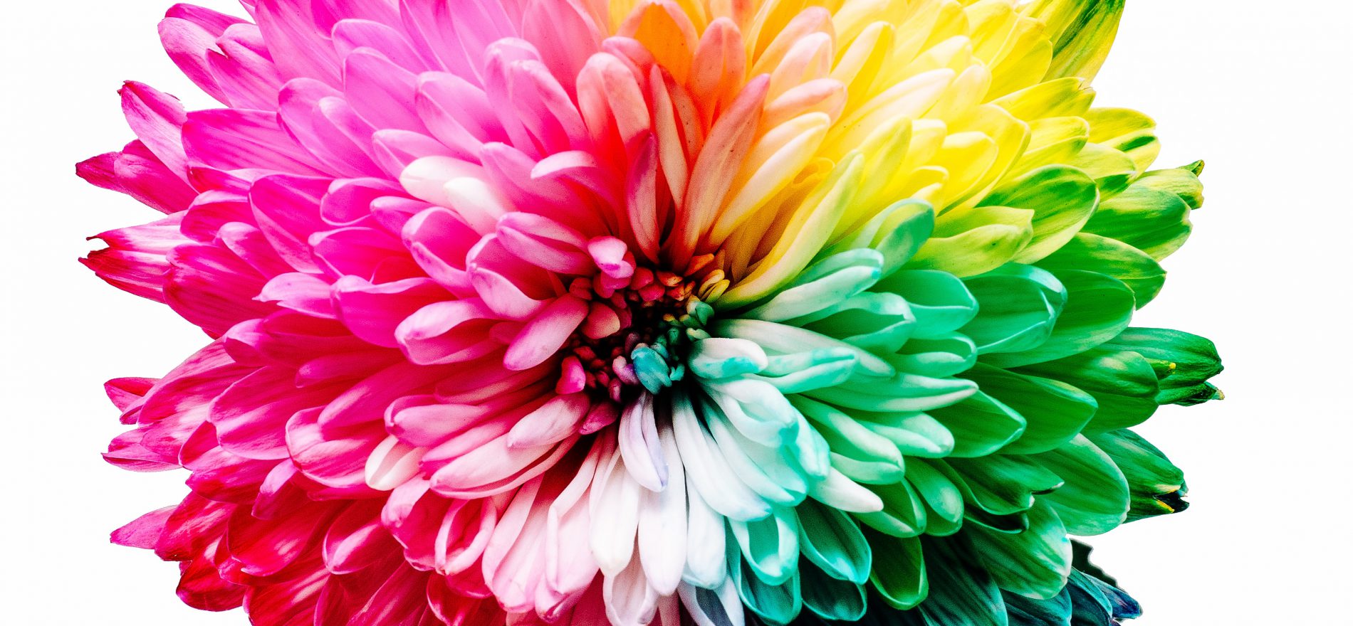 japanese colors
