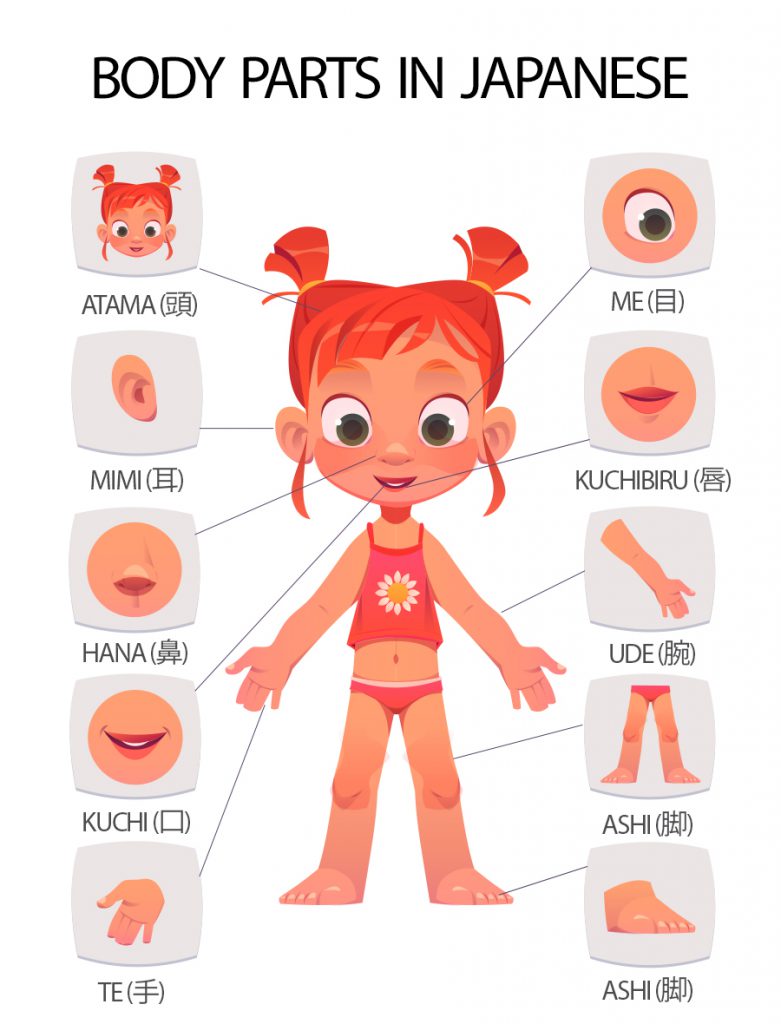 parts of the body in japanese