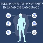 parts of the body in japanese