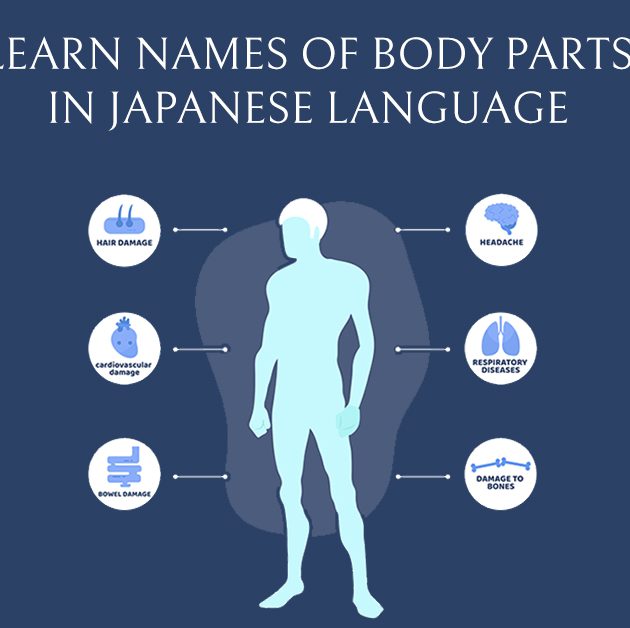 15 Must Know Facts About Japanese Education System