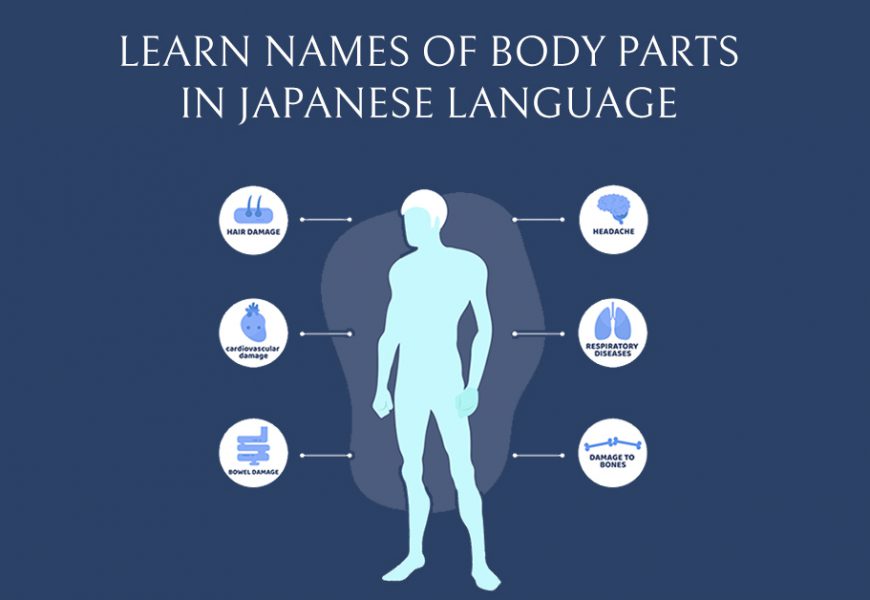 parts of the body in japanese