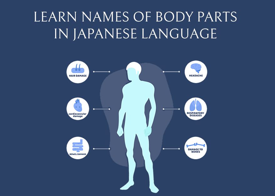 parts of the body in japanese