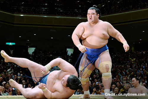 Sumo